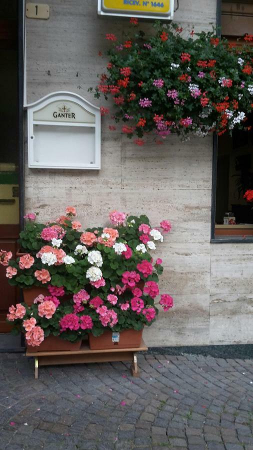 Albergo Ristorante Centro Vico Canavese Eksteriør bilde